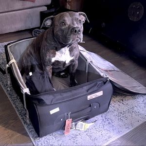 See you in Soon! Thank You Everyone!!! 🇧🇷🇧🇷 🐕🧳💕